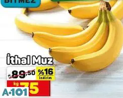 İTHAL MUZ KG İTHAL MUZ KG